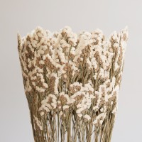 <a href="https://www.galeriegosserez.com/artistes/clegg-shannon.html">Shannon Clegg</a> - « Flora »  - Large White Sculpture